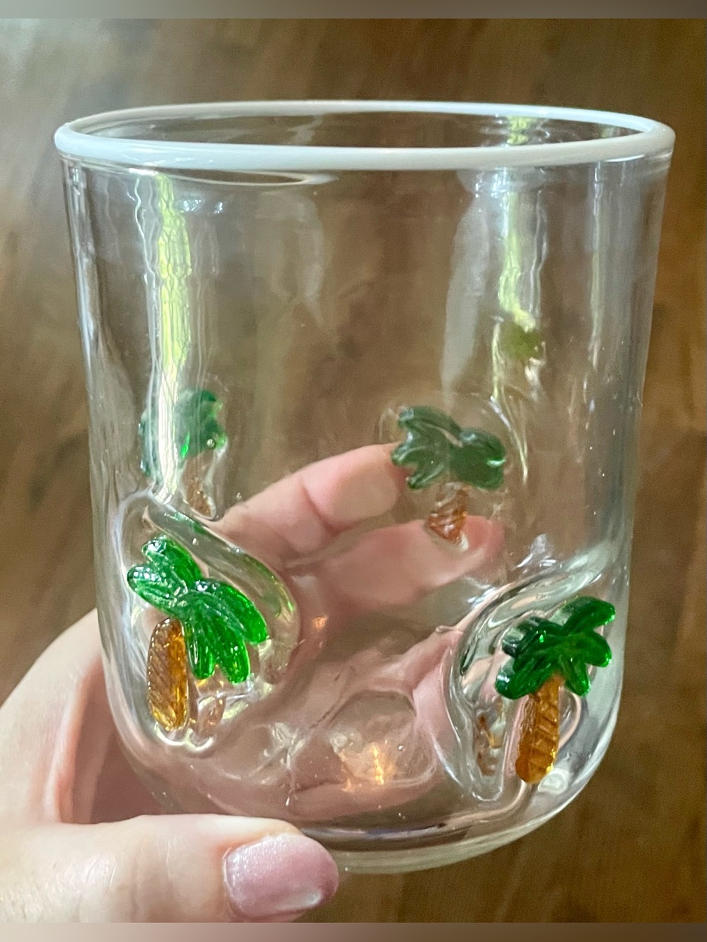 Anthropologie NWT Icon Glass Tumbler with Green and Brown Palm Tree Motif